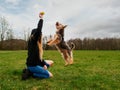 Teenager girl playing with cute Yorkshire terrier in a park on a green grass field. Day time. Cloudy sky. Model dressed in black Royalty Free Stock Photo