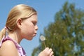 Teenager girl puffing to dandelion