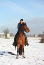 Teenager girl riding bay horse portrait Royalty Free Stock Photo