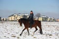 Teenager girl riding bay horse in winter Royalty Free Stock Photo