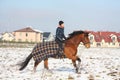 Teenager girl riding bay horse in winter Royalty Free Stock Photo