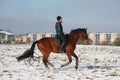 Teenager girl riding bay horse in winter Royalty Free Stock Photo