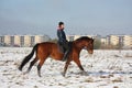 Teenager girl riding bay horse in winter Royalty Free Stock Photo