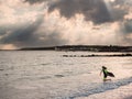 Teenager girl in wet suit with small kids surf board running into ocean. Salthill, Galway city, Ireland. Blackrock diving board in Royalty Free Stock Photo