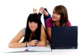 Teenager girls studying Royalty Free Stock Photo