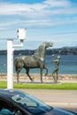 Teenager and the Horse and road speed radar