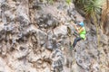 Teenager Latin Girl Climbing A Vertical Rock Wall Royalty Free Stock Photo