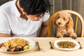 A teenager with a poodle puppy on dining table with plateful of food and kibbles