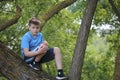 A teenager poses for a photographer while walking in the park. Climbed a tree and sits.