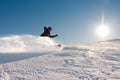 Teenager or snowboard Royalty Free Stock Photo