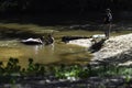 Teenagers in Autauga Creek