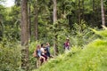 Teenagers with backpacks hiking in forest. Summer vacation. Royalty Free Stock Photo