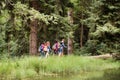 Teenagers with backpacks hiking in forest. Summer vacation. Royalty Free Stock Photo