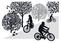 Teenagers on bicycles. Girl, boys in baseball caps ride bicycles in the Park. Silhouettes isolated on a white background. Vector