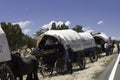 Teenagers traveling on covered wagons Royalty Free Stock Photo