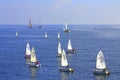 Teens sailing boats regatta Royalty Free Stock Photo