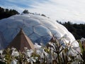 teepee amongst Lillie\'s at the Eden project