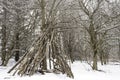 Teepee contructed out of logs and branches in a winter landscape Royalty Free Stock Photo