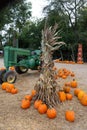 A teepee of dried corn husks at a fall festival with pumpkins and an antique tractor behind it Royalty Free Stock Photo