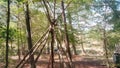 Teepee lean to trees leaves woods