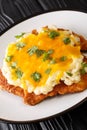 Teesside Chicken Parmo made from breaded chicken fillet topped with a white bechamel sauce and cheddar cheese close-up in a plate Royalty Free Stock Photo