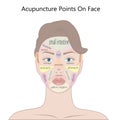 Active acupuncture points on the face, Vector Illustration Royalty Free Stock Photo