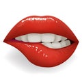 Teeth biting red glossy lips female mouth stylish women lipstick fashion cosmetics mockup isolated on white design Royalty Free Stock Photo