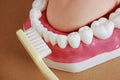 Teeth and brush