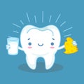 Teeth and calcium. Healthy tooth and milk products with high calcium, friendly cheese and milk, preventative habit