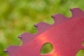 Teeth on a circular blade,close-up of a metal disk with teeth for mowing on a brushcutter Royalty Free Stock Photo