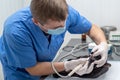 Teeth cleaning of the cat in a veterinary clinic