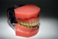 Teeth cleaning instructions model