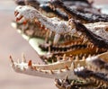 Teeth on crocodile jaws as a background