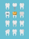 Teeth different type set on color poster