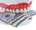 Teeth and dollar Royalty Free Stock Photo