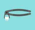 Teeth forceps isolated. Dentist tool for pulling teeth