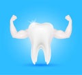 Tooth healthy sparkling and strong muscle with calcium fluorine. Teeth isolated on a blue background. Royalty Free Stock Photo