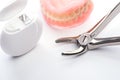 Teeth model with dental floss and forceps on white background Royalty Free Stock Photo