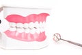 Teeth model and dental instruments Royalty Free Stock Photo