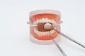 Teeth model and dentist tool on white