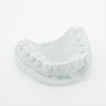 Teeth mold Royalty Free Stock Photo