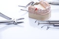 Teeth mold and basic dental tools on white table Royalty Free Stock Photo