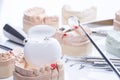 Teeth mold and basic dental tools on white table Royalty Free Stock Photo