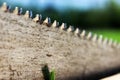 Teeth of an old saw against a background of grass Royalty Free Stock Photo