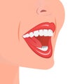 Teeth - open adult mouth model with upper and lower jaw and its thirty-six permanent teeth. Abstract isolated vector