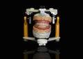 Teeth Protese front in articulator