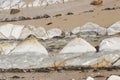 Teeth of shark, Tarifa beach, Cadiz spain Royalty Free Stock Photo