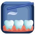 teeth and tooth brush. Vector illustration decorative design Royalty Free Stock Photo