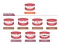 Teeth trouble bite type vector illustration set