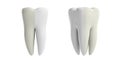 Teeth before and after whitening cutout on white background. 3d illustration